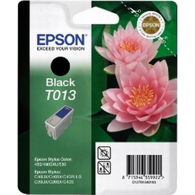 Cartus de cerneala original Epson T0134 Black (C13T01340110)