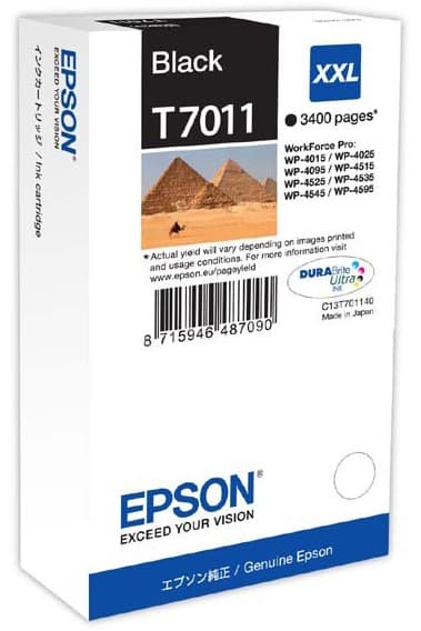 Cartus de cerneala original Epson T7011 Black (C13T70114010)