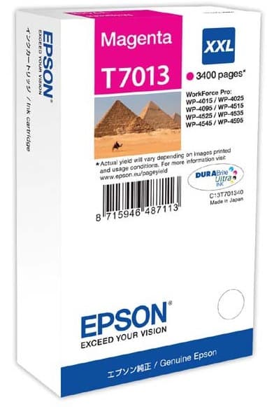Cartus de cerneala original Epson T7013 Magenta (C13T70134010)