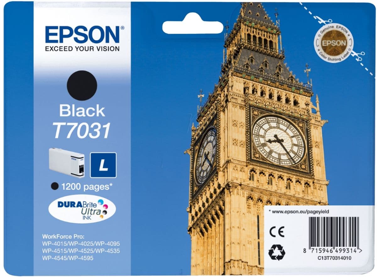 Cartus de cerneala original Epson T7031 Black (C13T70314010)