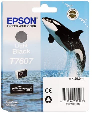 Cartus de cerneala original Epson T7607 Light Black (C13T760740)