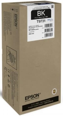 Cartus de cerneala original Epson T9731 Black (C13T973100)
